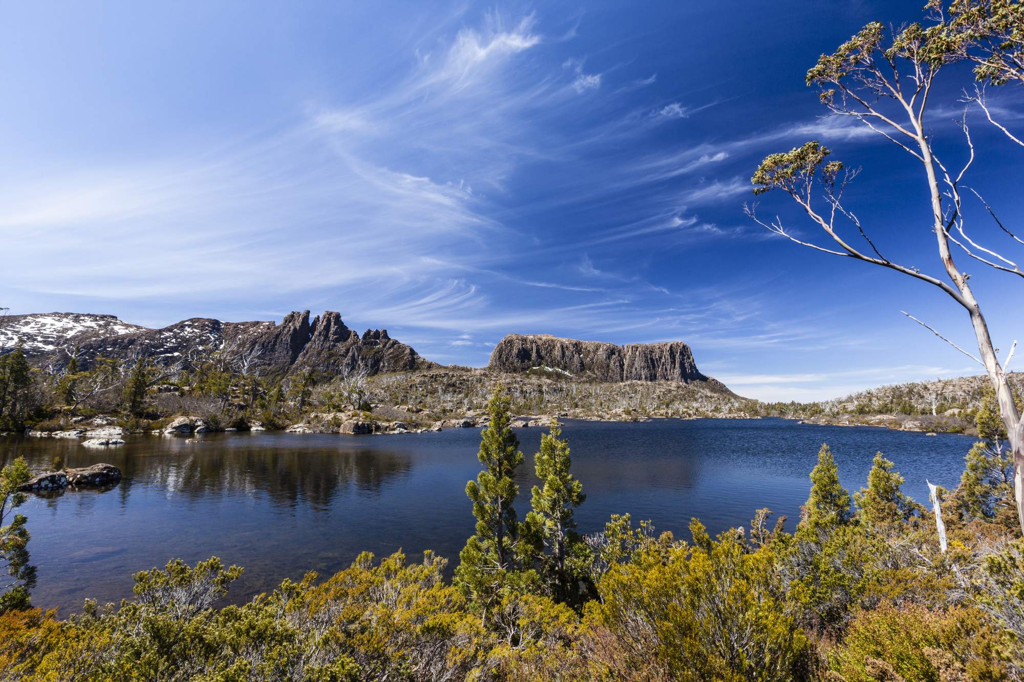 istock-174784910.jpg