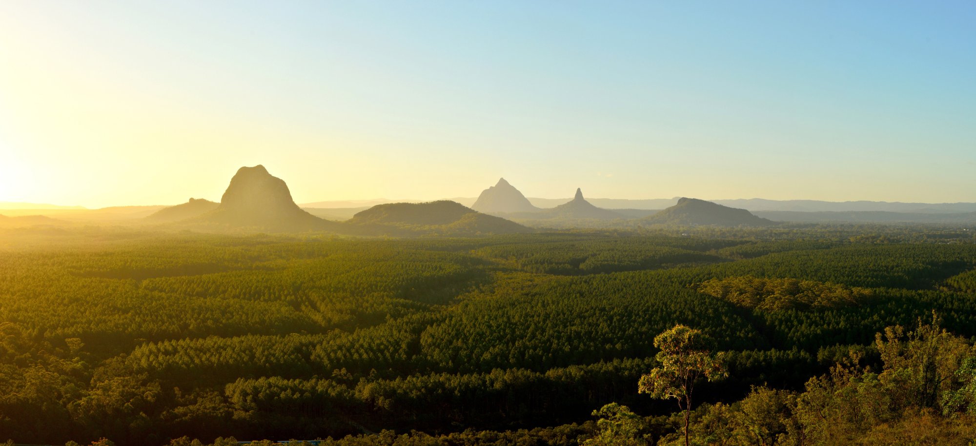 istock-937221438.jpg