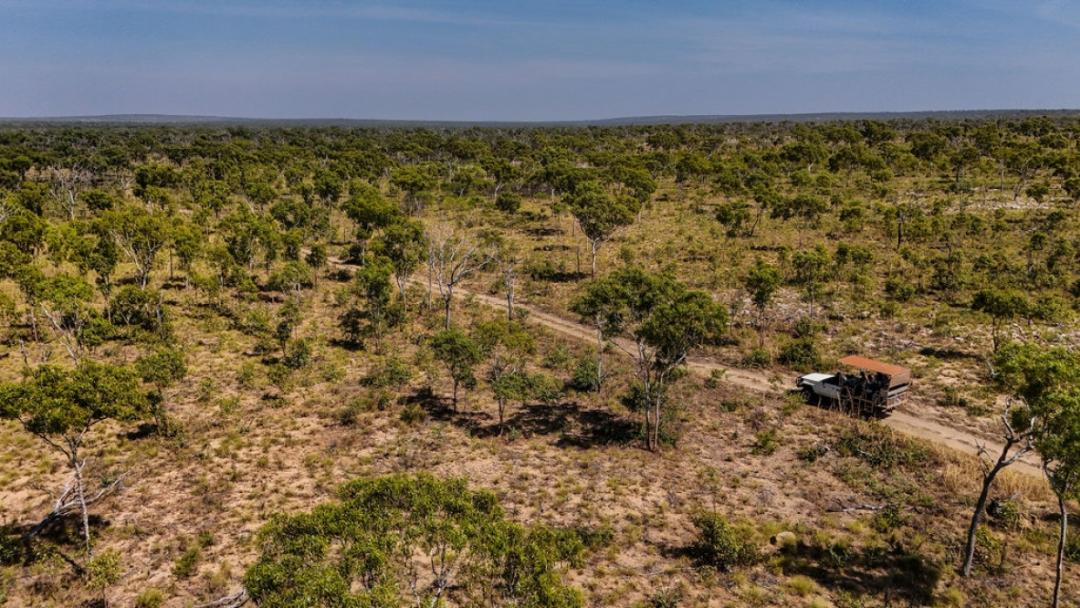 An aerial photograph of a semi-arid woodland landscape dotted with scattered trees and sparse