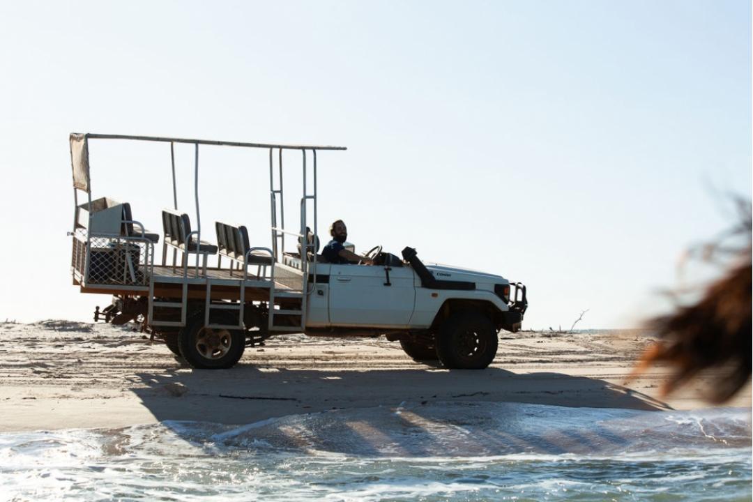 A rugged blue safari truck equipped with an open-air seating platform and canopy is positioned