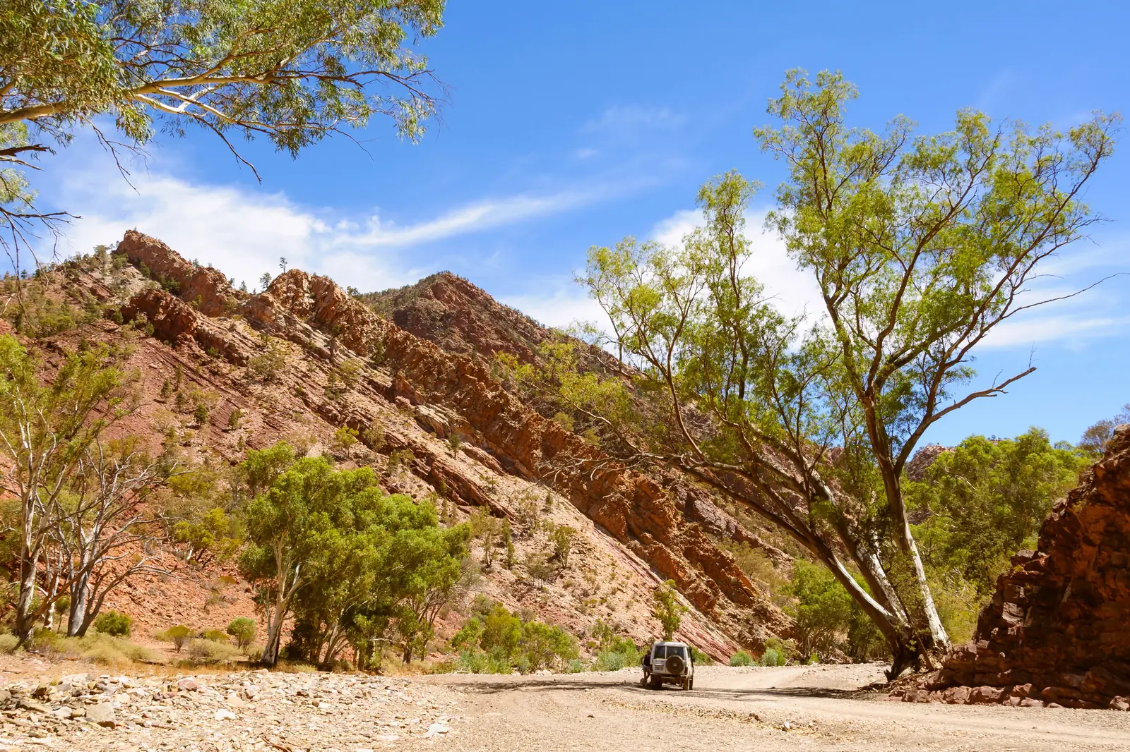 A rugged desert gorge in Brachina Gorge featuring dramatic stratified rock formations, sparse