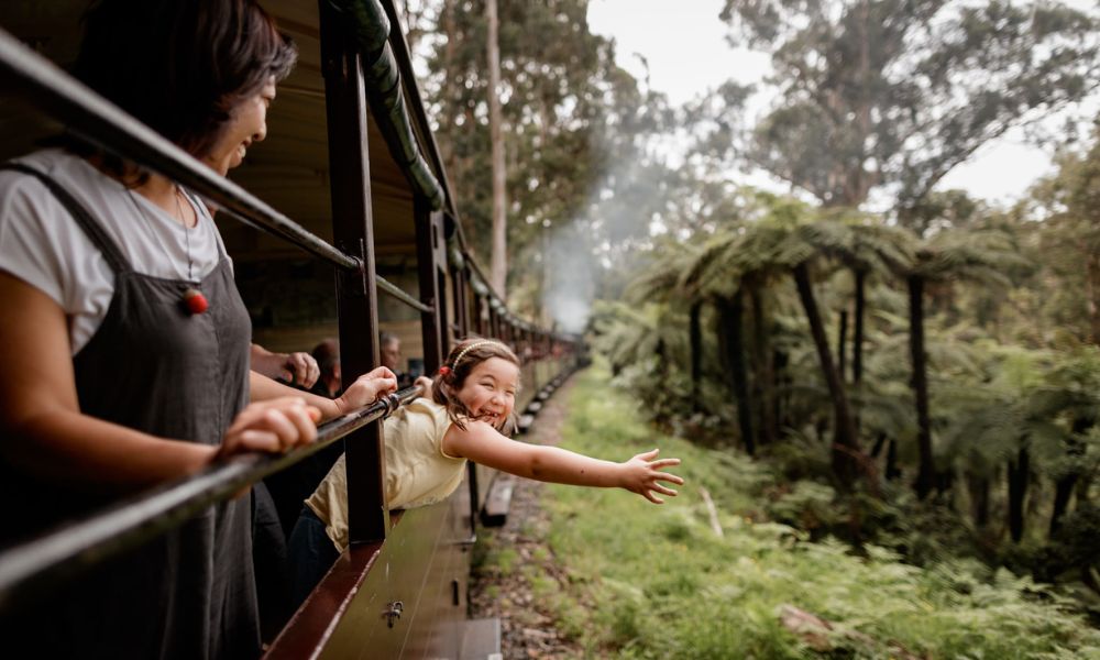 Family Train Journey Through Dandenong Ranges Forest Dandenong Ranges views