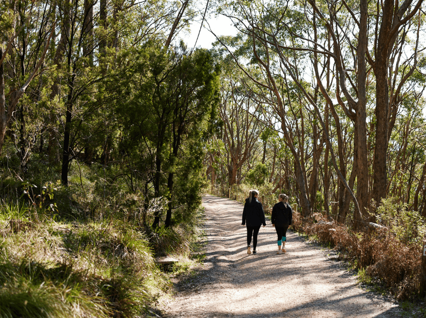 Two visitors walk along a peaceful tree-lined dirt path through a eucalyptus forest in Tasmania