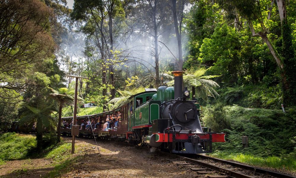 Train