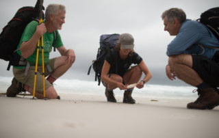 A group of four backpackers crouches on the sandy beach at Bay of Fires, examining a map
