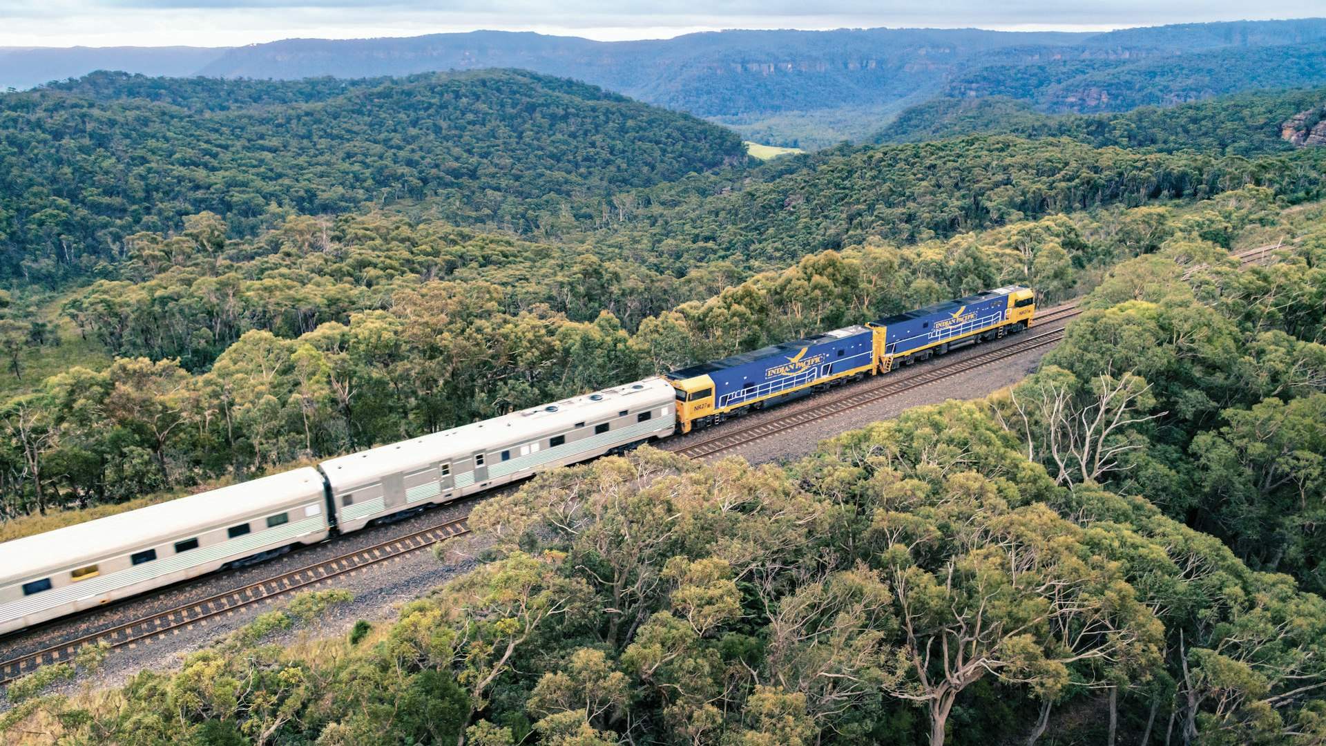A scenic aerial view of the Indian Pacific train traveling through the lush, forested Blue