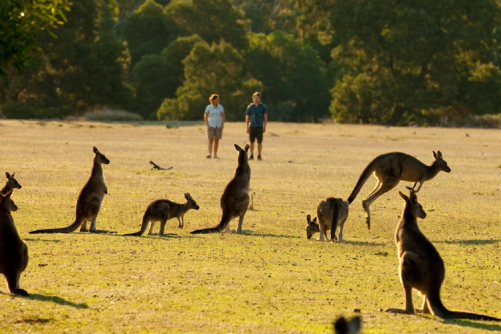 grampians17