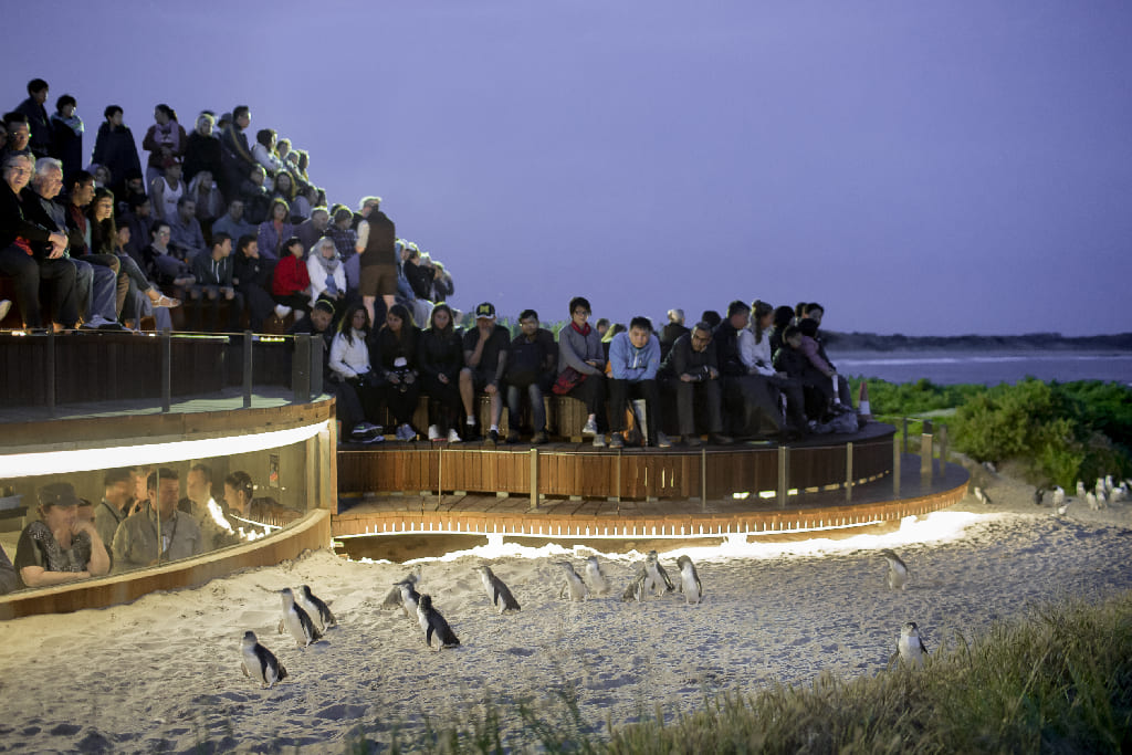EXPRESS-Phillip-Island20
