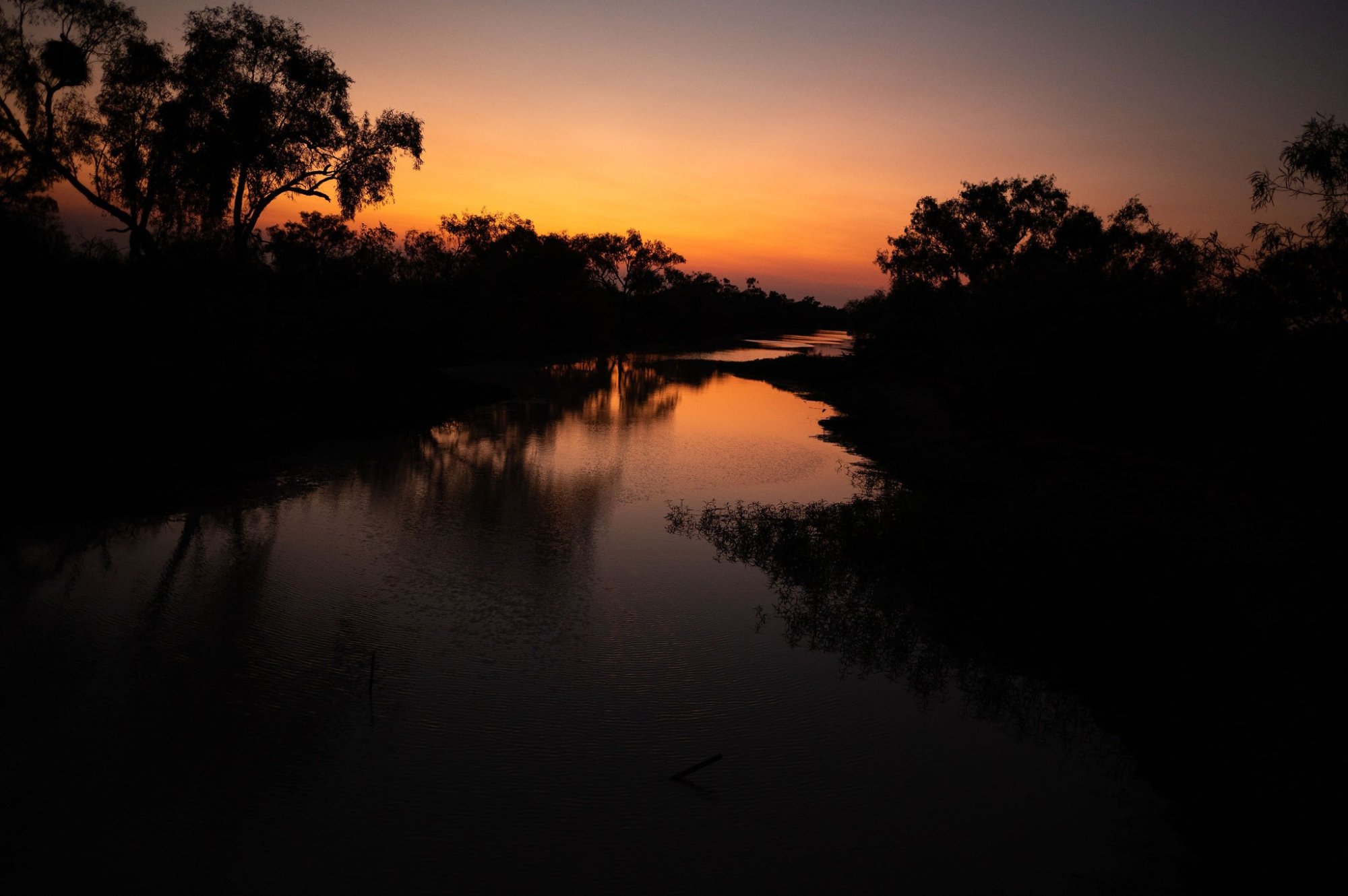 A serene sunset scene over a calm river lined with eucalyptus trees silhouetted against a golden