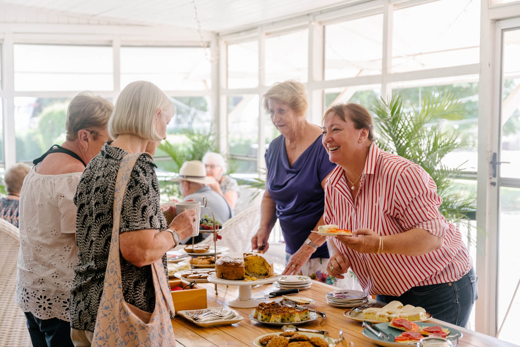 A group of older adults enjoys a social event in a bright, plant-filled conservatory with expansive
