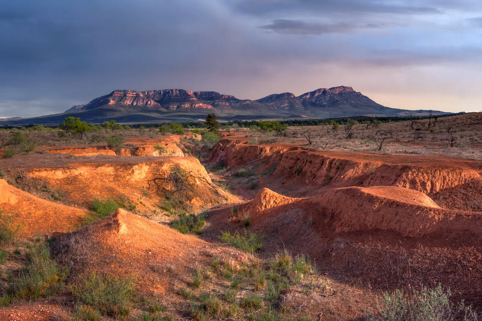 A stunning panoramic view of Wilpena Pound, South Australia's iconic mountain amphitheater, bathed