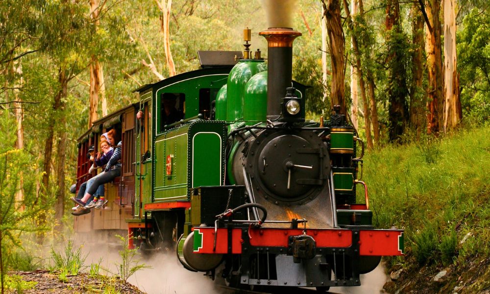 A green vintage steam locomotive pulling carriages through eucalypt bushland, with children sitting with legs dangling from an open carriage