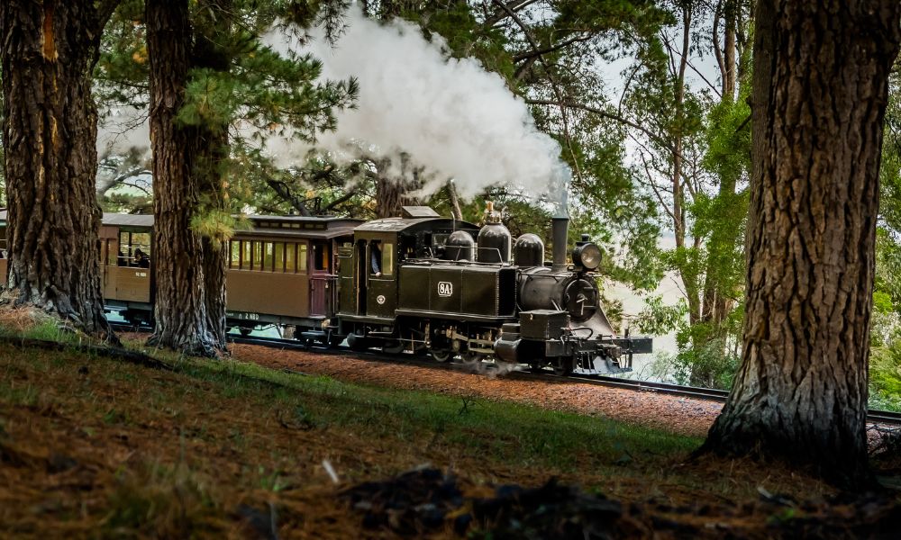 puffing-billy-train puffing-billy-train.jpg