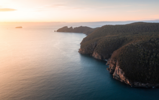 A dramatic coastal landscape featuring towering forested cliffs plunging into turquoise waters