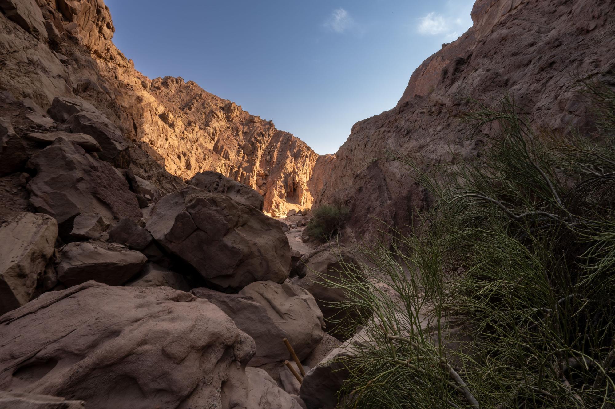 A scenic desert canyon with towering tan and brown rock formations on both sides, featuring sparse
